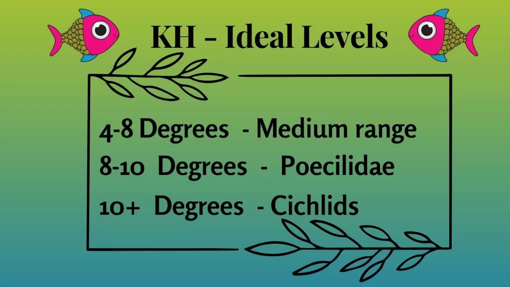 KH And Your Aquarium & Everything You Need To Know! PetsandFins