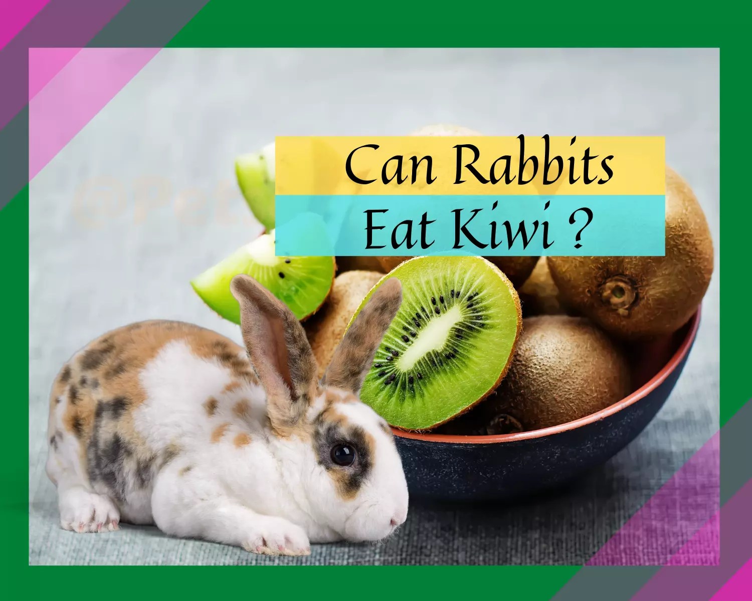 Can Rabbits Eat Kiwi? All That You Wanted To Know! PetsandFins