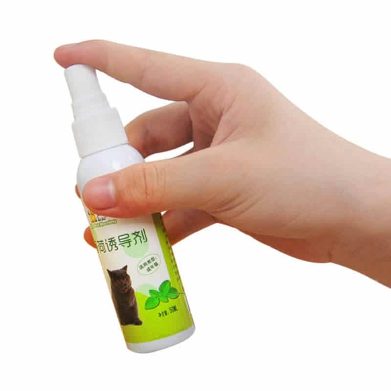 Buy Fresh Extract Catnip Spray in Kenya PetSasa