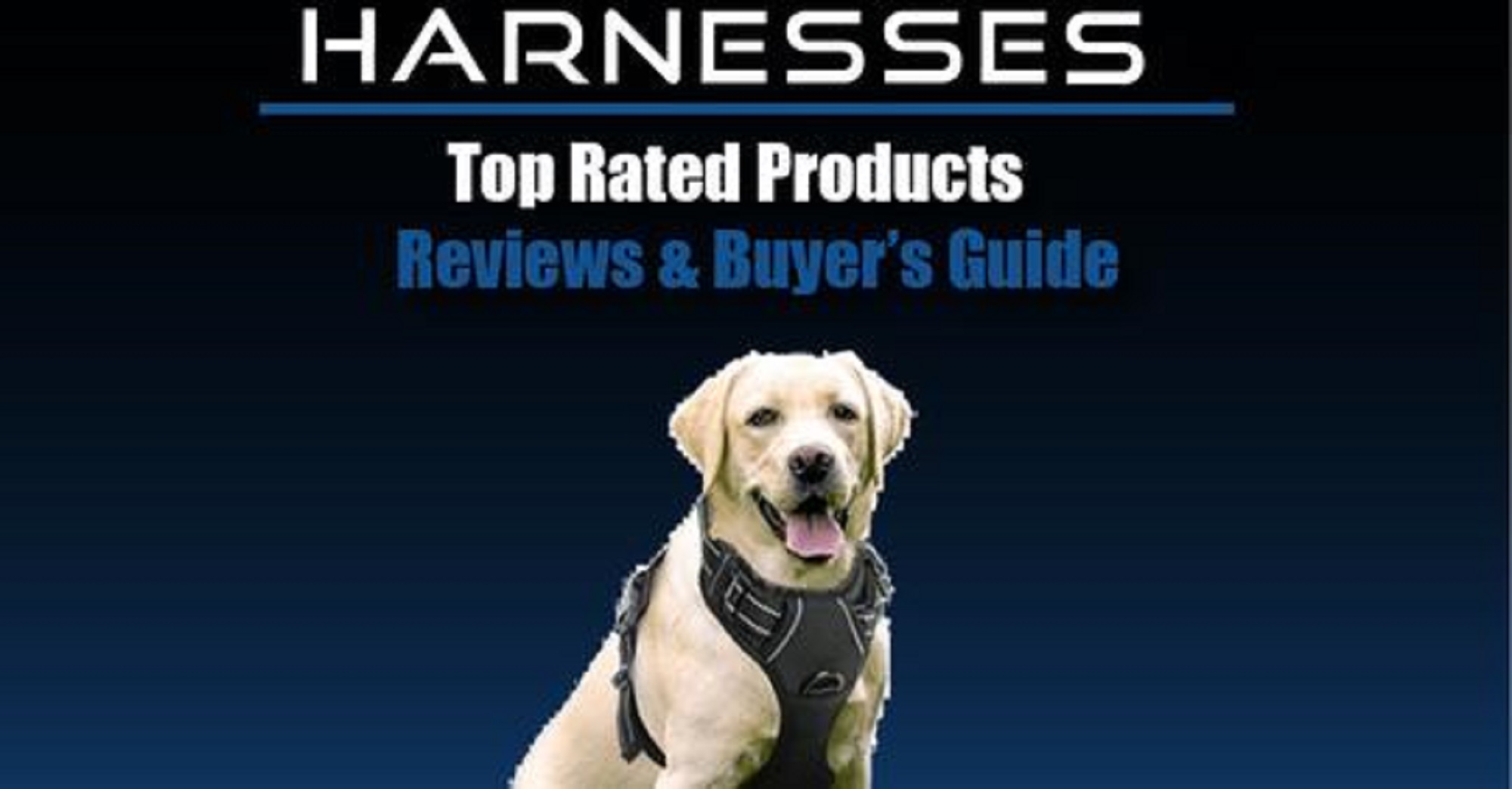 Best Dog Harnesses Reviews petsaw