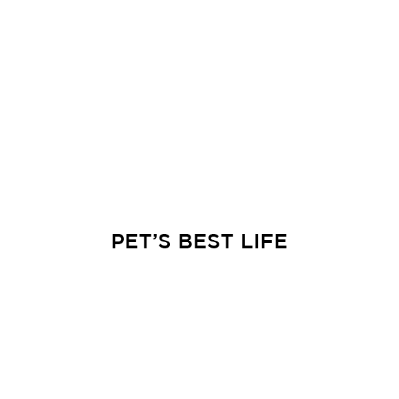 Pets Best Life Yummy Combs