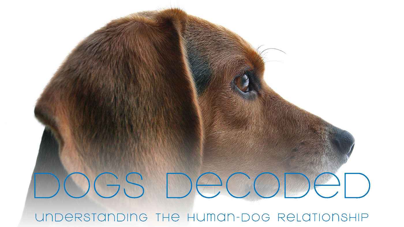 How Deep is the Bond Between Dogs and Humans? PetsBlogs