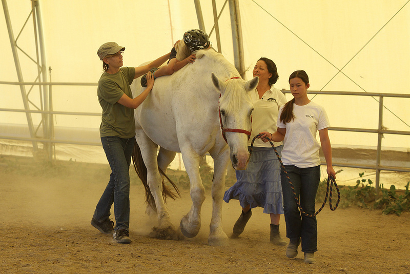 Horses for Healing The Benefits of Equine Therapy PetsBlogs