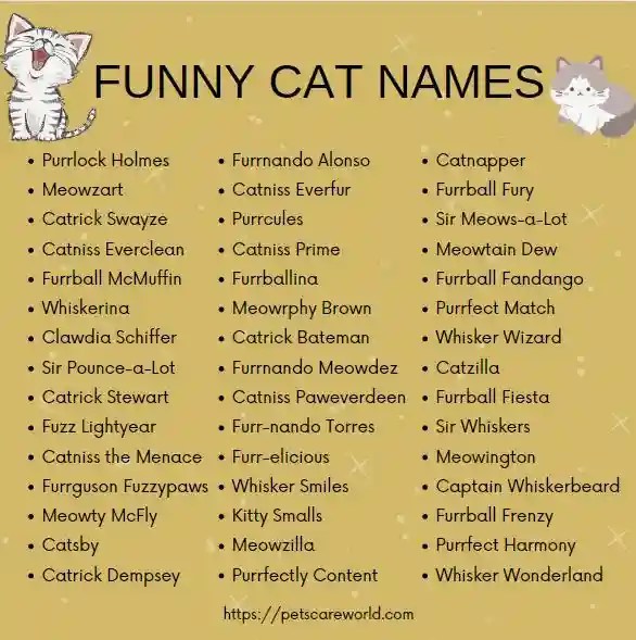 50 Funny Cat Names with Meaning Your Search Stops Here