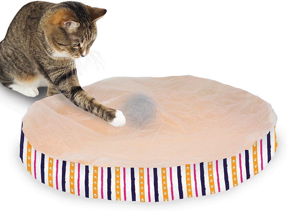 10 Best Cat Toys for Bored Cats to Keep Them Entertained Pets Carter