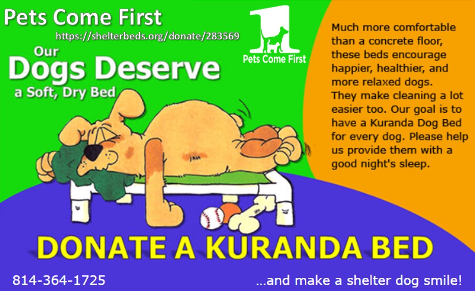 Donate a Kuranda Bed! Pets Come First