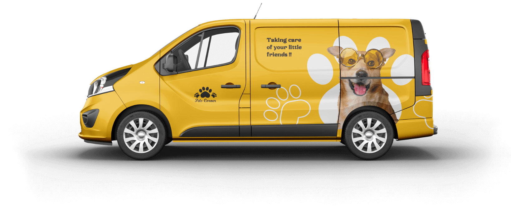 Pet Day Care And Grooming Abu Dhabi Dog And Cat Grooming Abu Dhabi