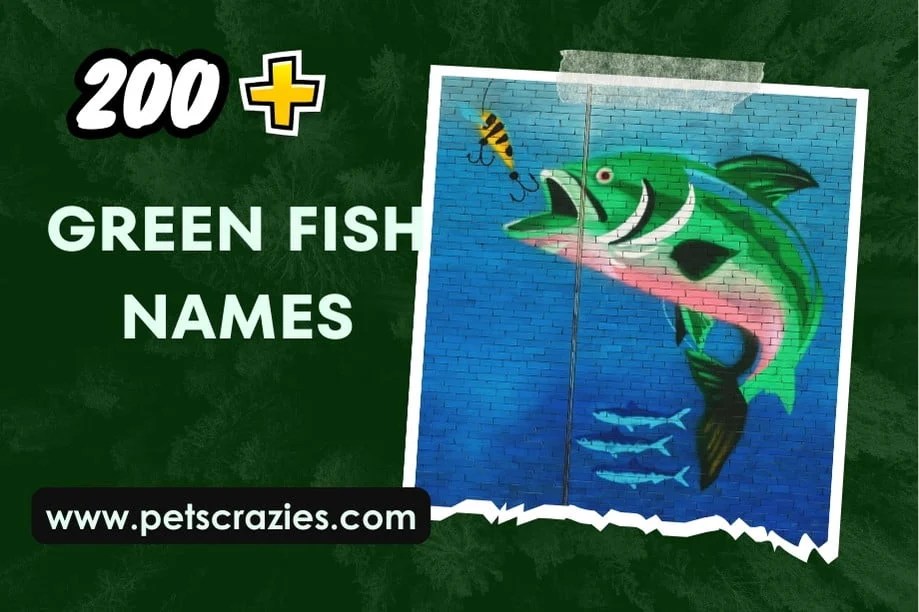 400+Green Fish Names(Inspiring Ideas for Your Aquarium)