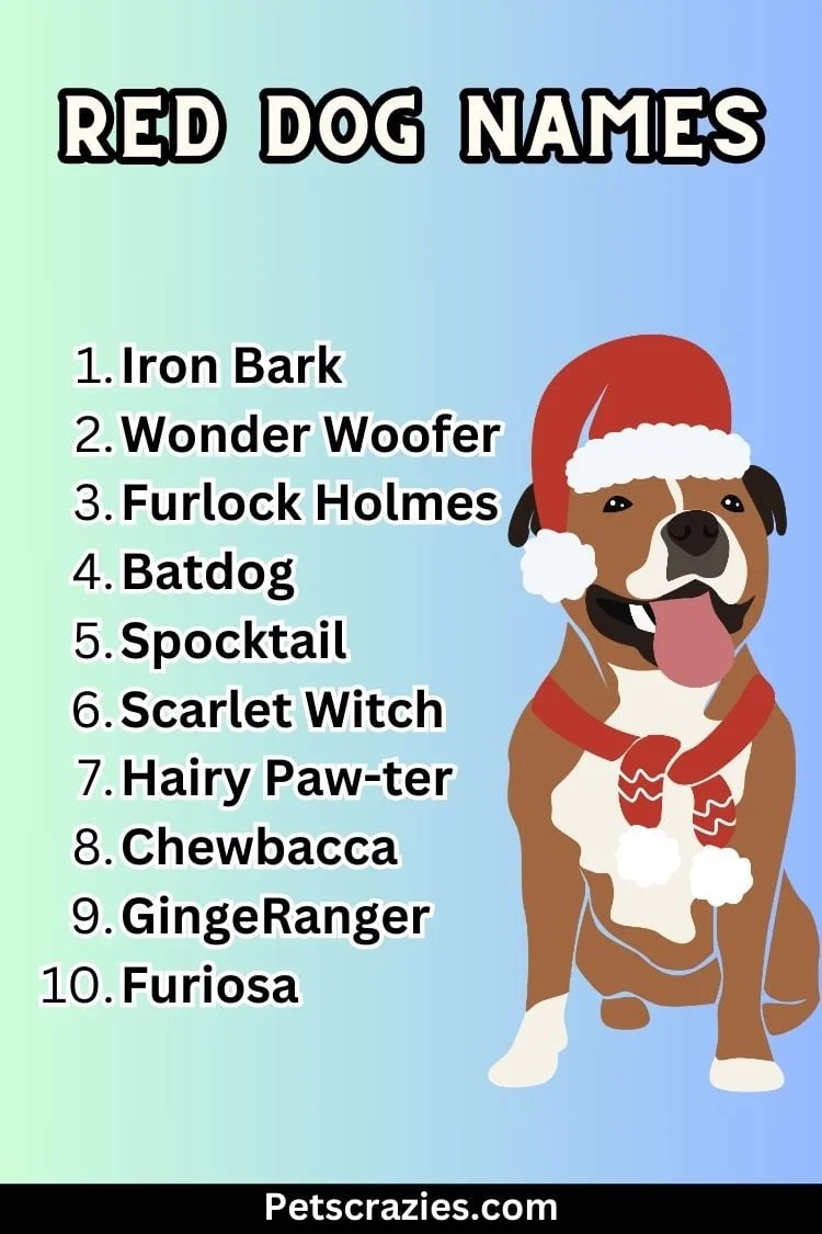 200+ Red Dog Names Fiery And Colorful Picks