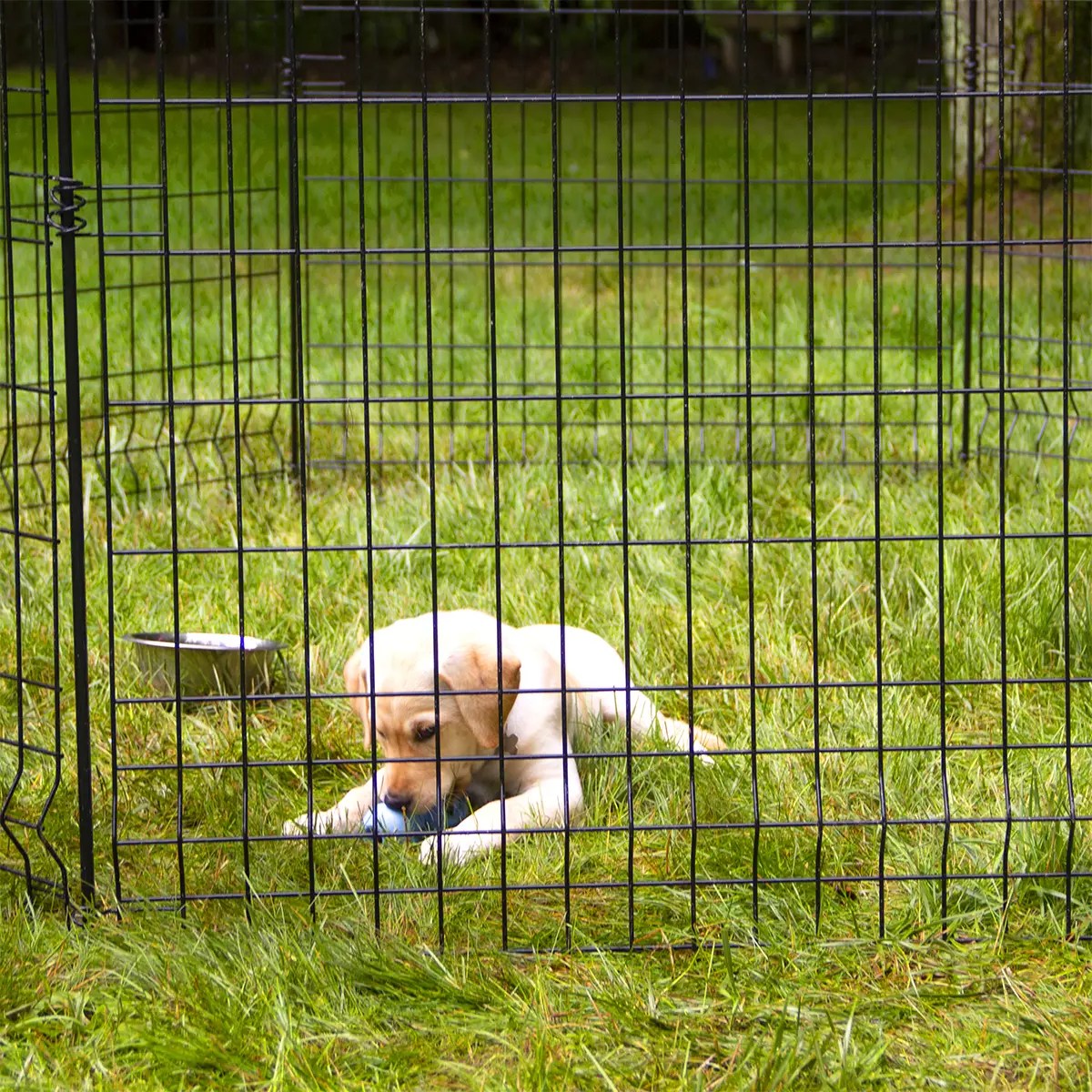 MultiPurpose Fence Panel Pet Kennels, Crates, Playpens, Pet Sentinel