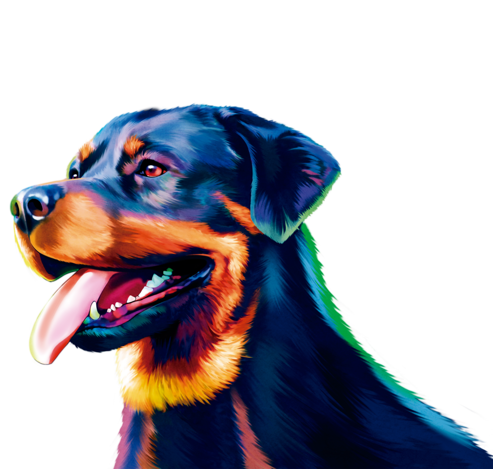 The Pet Set Dog Grooming, Training, Doggy Day Care in Long Beach, CA