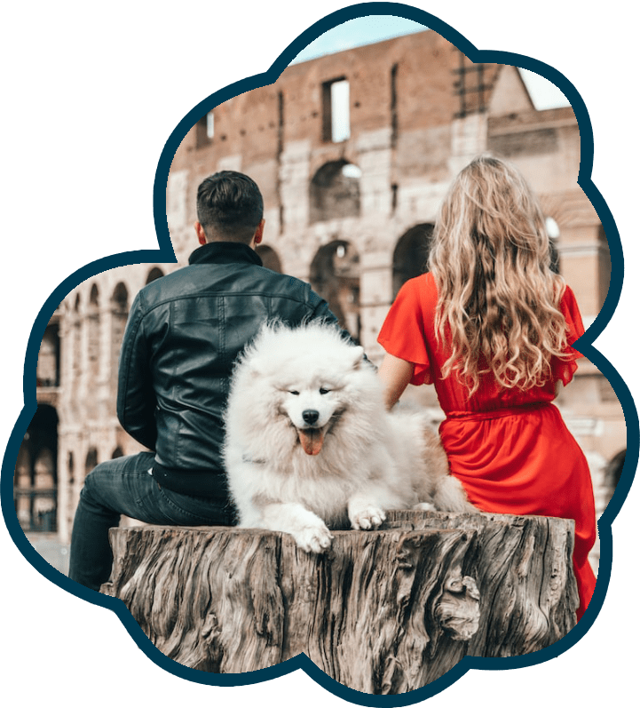 Animal Health Certificate for Pet Travel Pet Setters for jetsetting pets