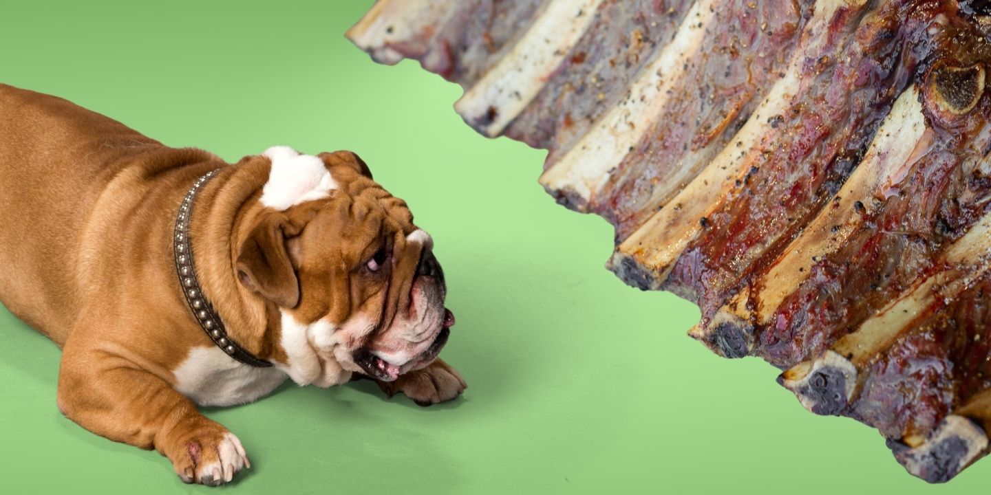 Can Dogs Eat Beef Rib Bones? A Comprehensive Guide