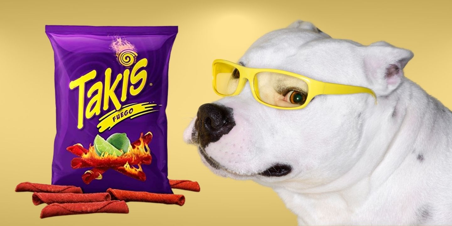 Can Dogs Eat Takis? The Risks And Dangers