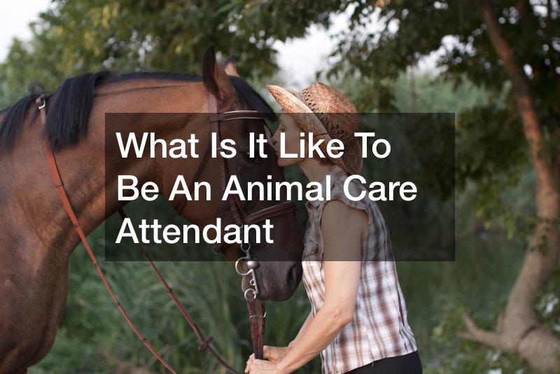 What Is It Like To Be An Animal Care Attendant Pets For Kids