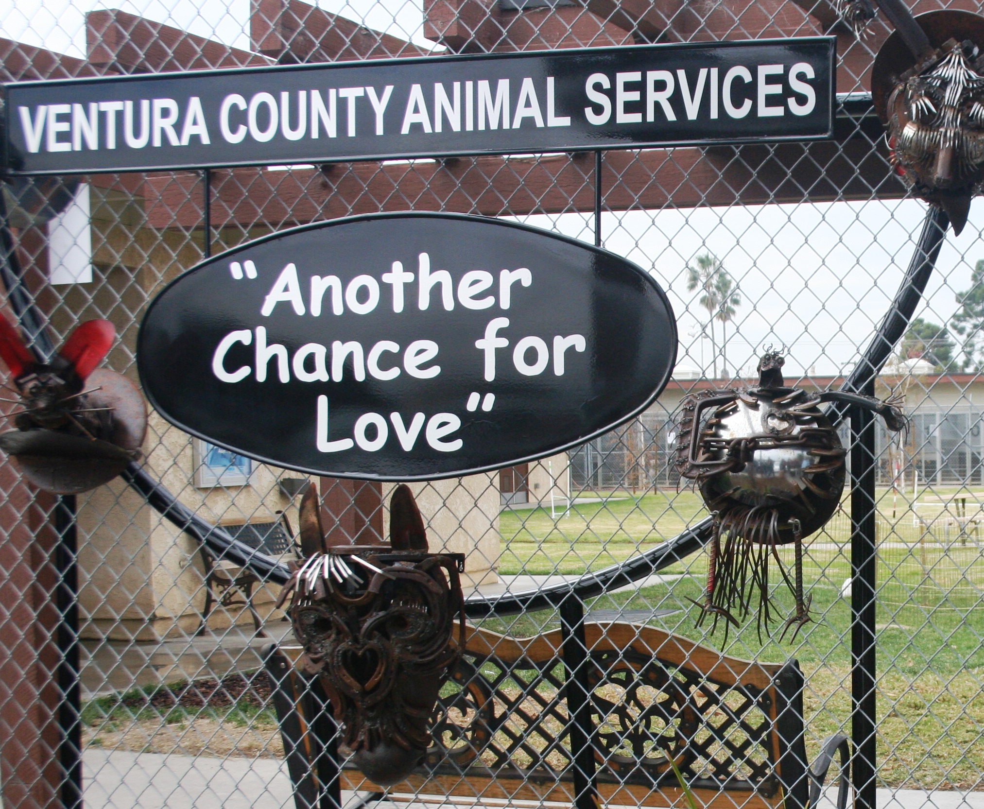 Ventura County Animal Services — Pets for Patriots