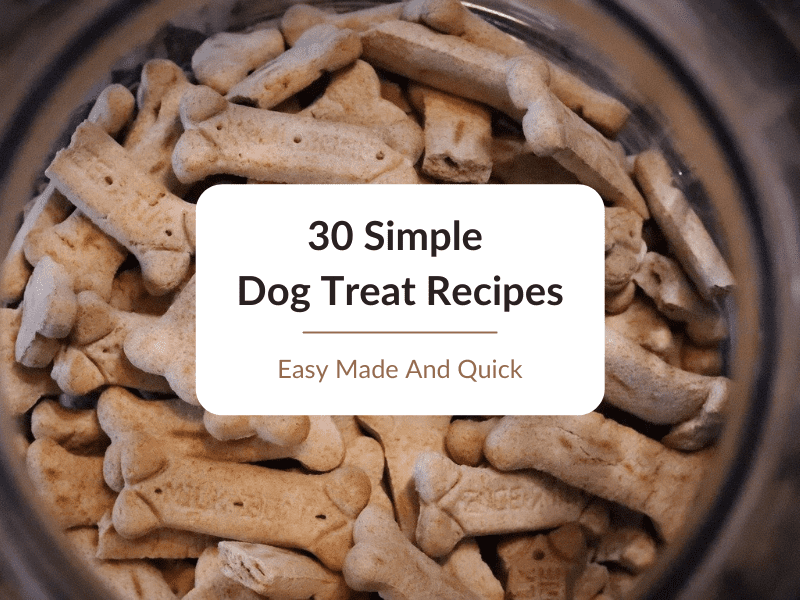 30 Simple Dog Treat Recipes Easy Made And Quick Pets Heed