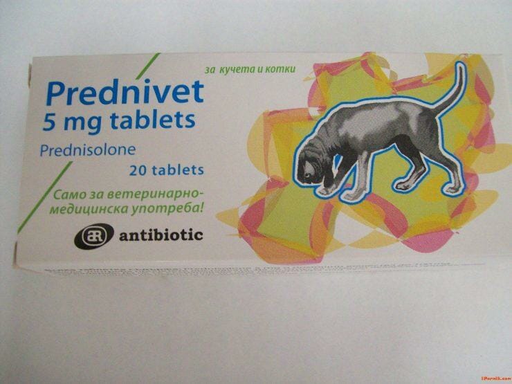 Prednisolone 5mg Tablets For Dogs and Cats