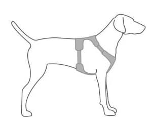 Ruffwear Dog Harness Size Guide - Pet Shop Direct