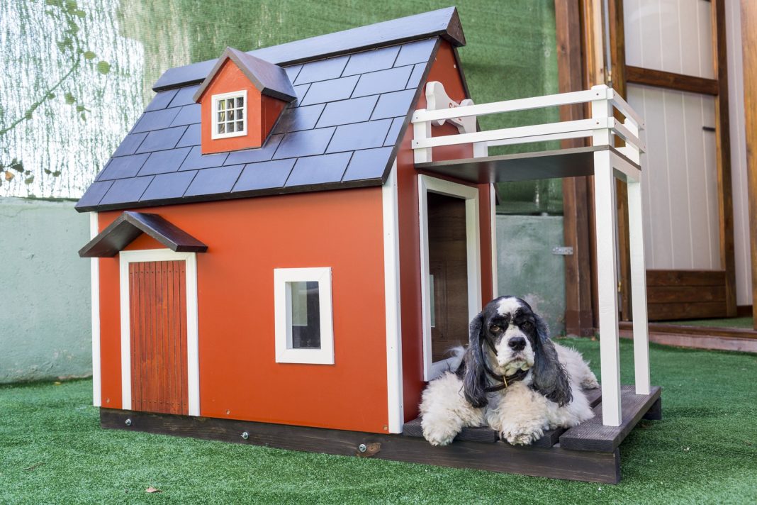How to Soundproof Dog Crate Soundproofing Dog Kennel