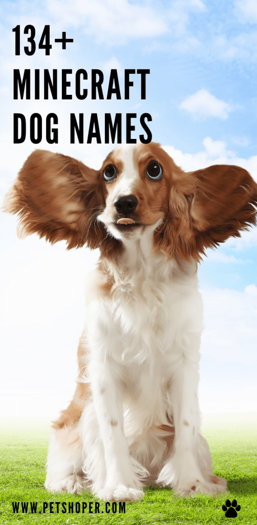 Minecraft Dog Names 134+ Best & Cute & Top Dog Names