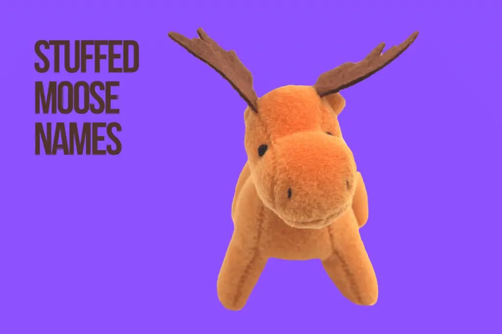 Moose Names 100+ Unique & Best & Top Ideas