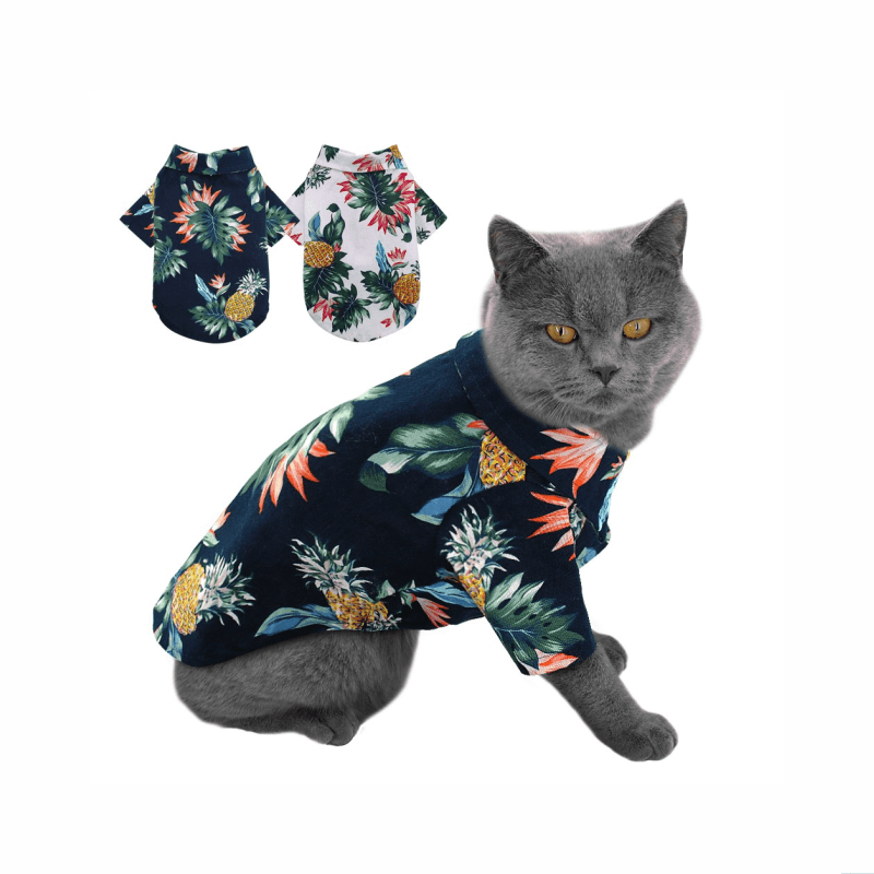 CAT CLOTHES All your pet needs in one place