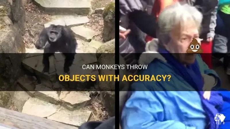 Can Monkeys Throw Objects With Accuracy? PetShun