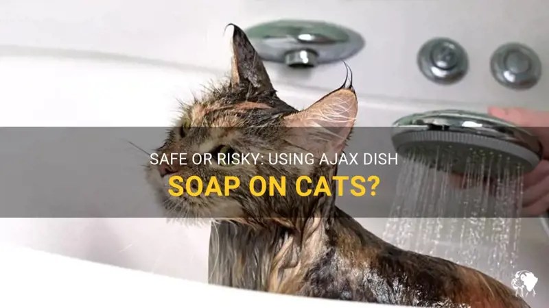 Safe Or Risky Using Ajax Dish Soap On Cats? PetShun