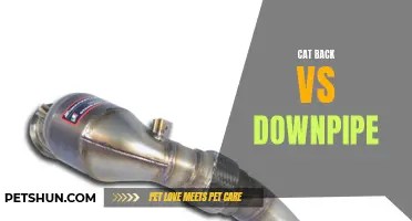 Downpipe Dilemma: Catted Vs Catless For Performance And Compliance
