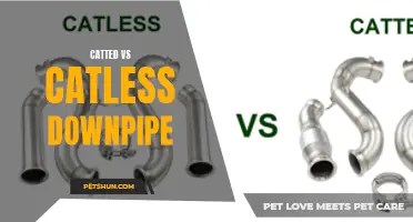 Understanding Nfpa 2112 And Cat 2 Standards: Key Differences | PetShun