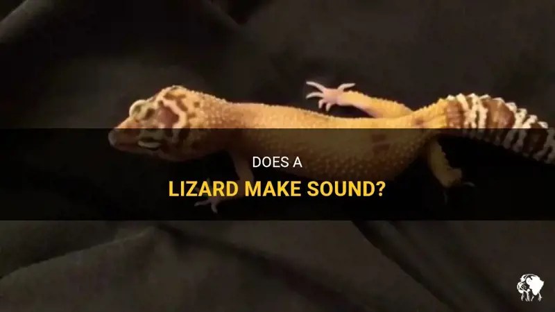 Does A Lizard Make Sound? PetShun