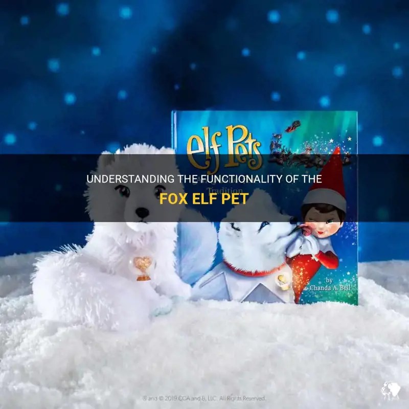 Understanding The Functionality Of The Fox Elf Pet PetShun