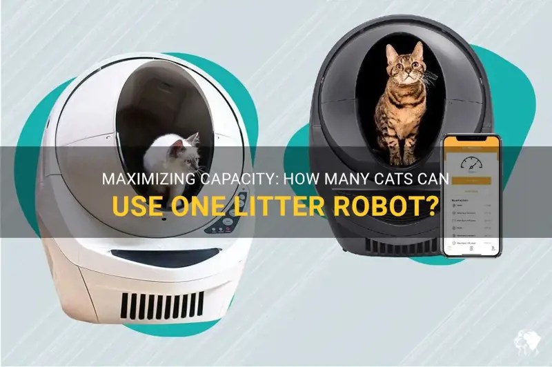 Maximizing Capacity How Many Cats Can Use One Litter Robot? PetShun