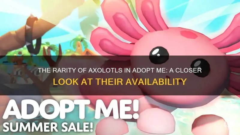 The Rarity Of Axolotls In Adopt Me A Closer Look At Their Availability