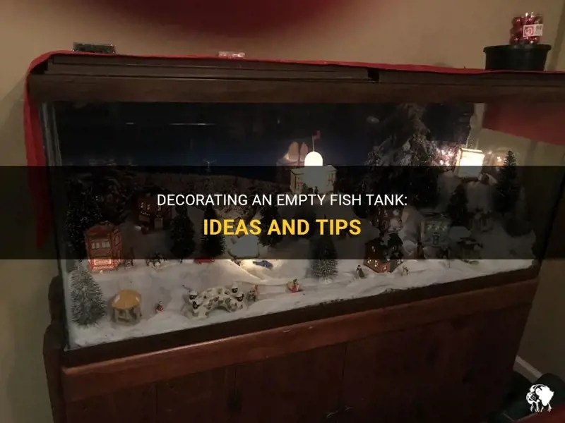 Decorating An Empty Fish Tank Ideas And Tips PetShun