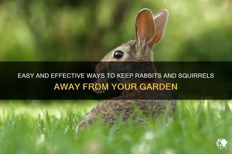 Easy And Effective Ways To Keep Rabbits And Squirrels Away From Your