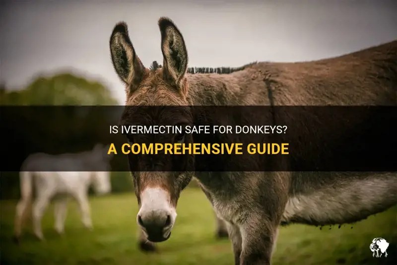Is Ivermectin Safe For Donkeys A Comprehensive Guide PetShun