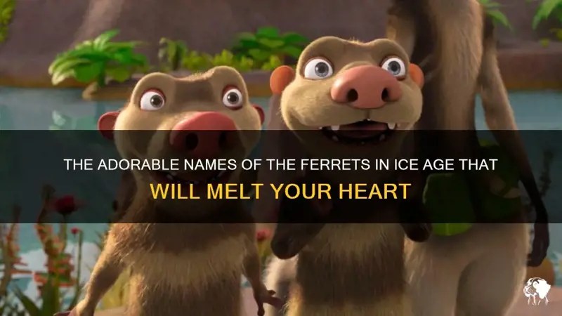 The Adorable Names Of The Ferrets In Ice Age That Will Melt Your Heart