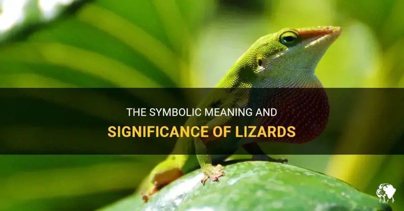 The Symbolic Meaning And Significance Of Lizards PetShun