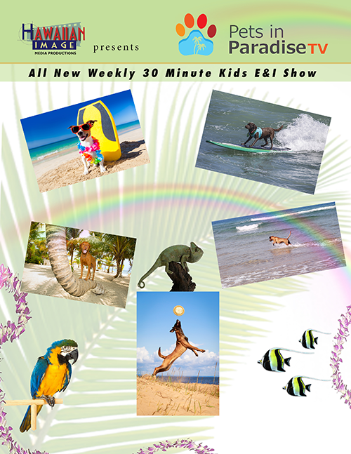 Pets In Paradise TV