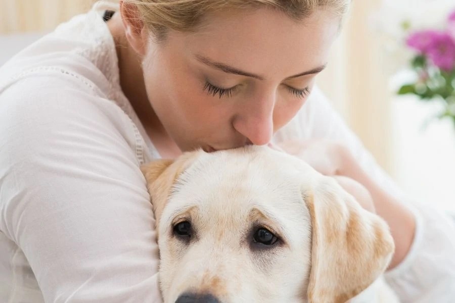 Why is My Dog Shaking? Helping Your Pet Cope with Anxiety Pet Sitting