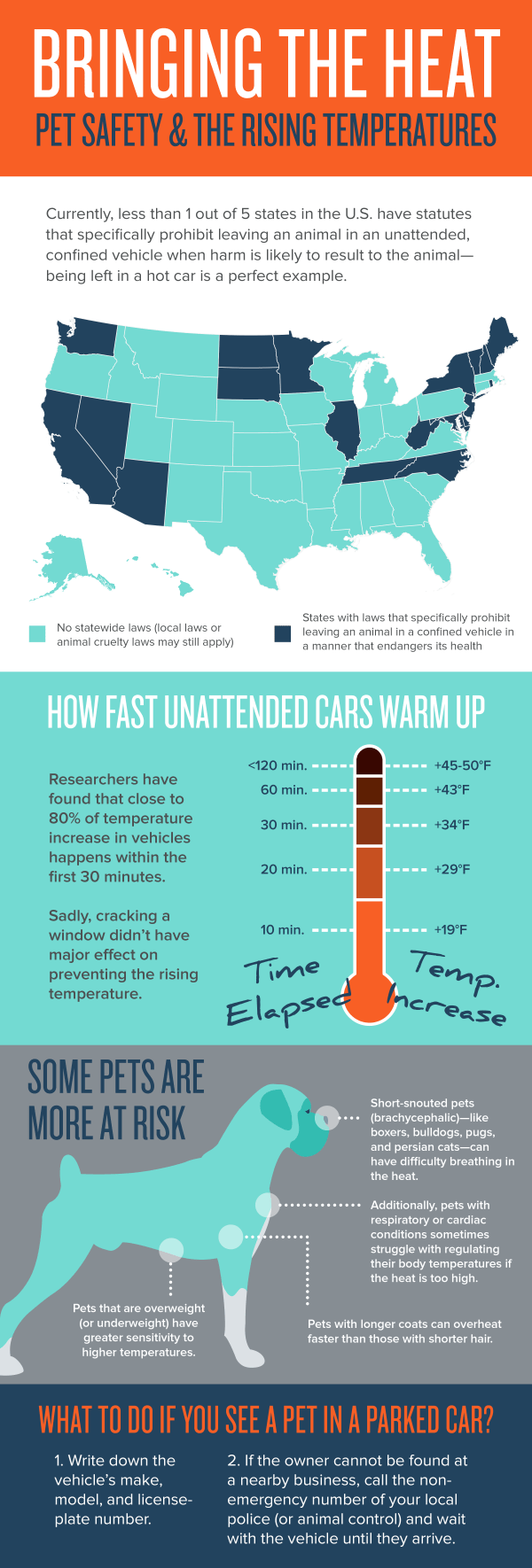 Bringing the Heat Pet Safety & the Rising Temperatures » Sitting Comfortably Pet Care