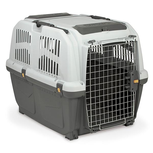 6 Steps to Successful Crate Training Pet Sitting Malta Blog