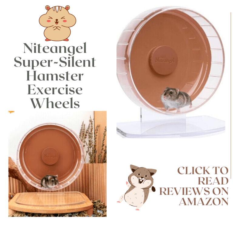 Girl and Boy Hamster Names 460+ Names For Hamsters Petsium