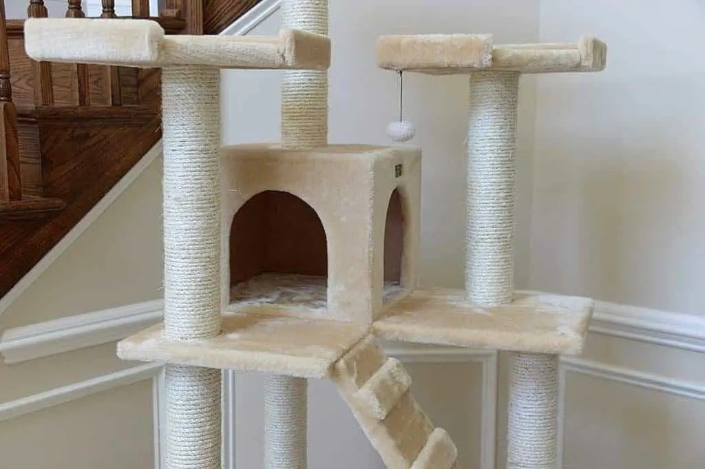 Best Indoor Cat Trees petsKB