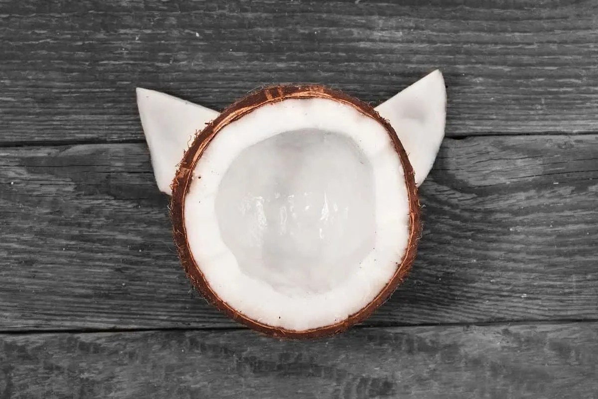 petsKB Page 7 The Pets Knowledge Base cats, dogs and other favorite pets on one site!