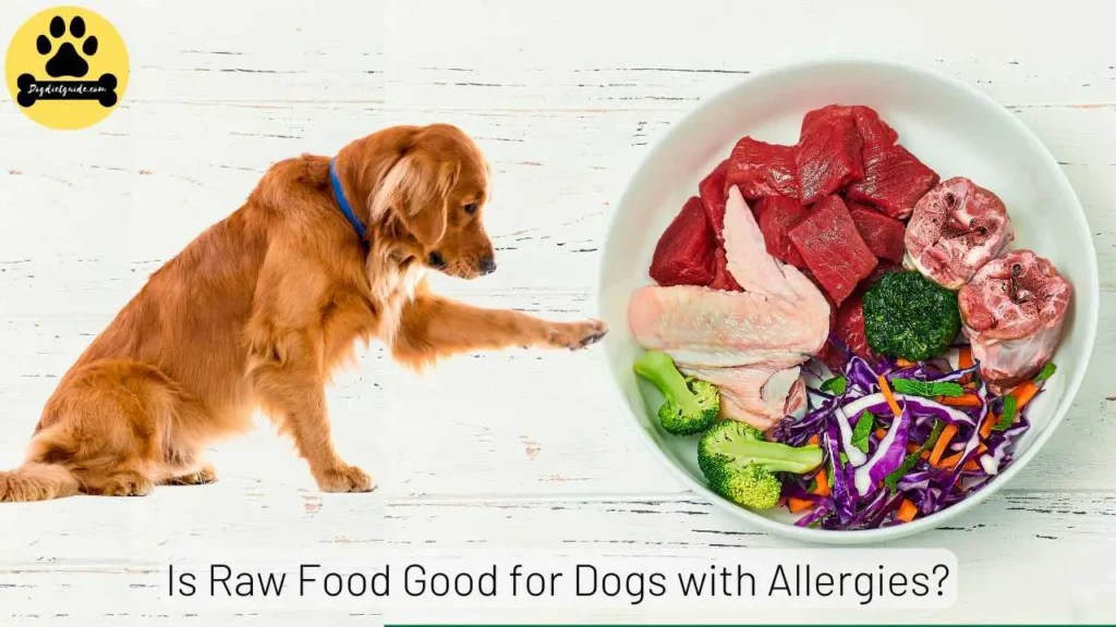 Is Raw Food Good for Dogs with Allergies? (Benefits & Risks) » Pets Kor