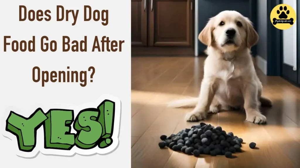 Does Dry Dog Food Go Bad After Opening? (Ensuring Freshness)