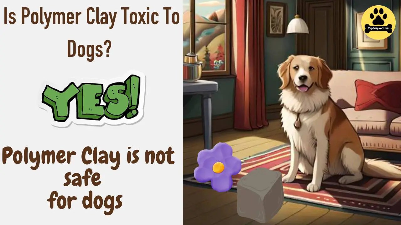 Is Polymer Clay Toxic To Dogs? Safety Guidelines